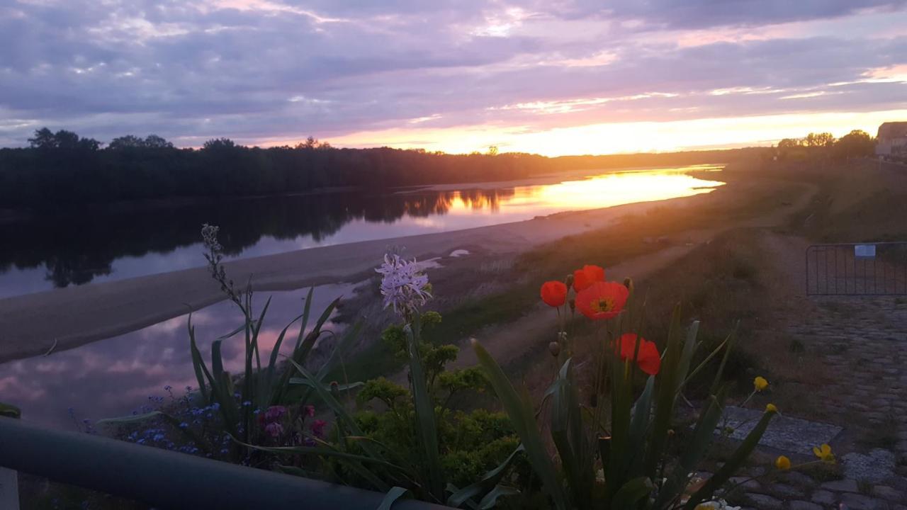 Le Cosy Loire Apartment Les Rosiers-sur-Loire